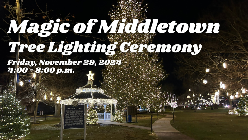 Tree Lighting Nov 29, 2024